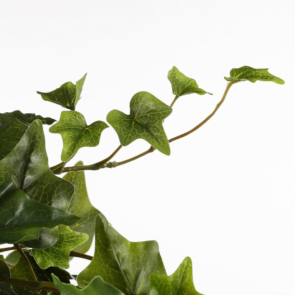 Kunst hangplant Ivy Groen