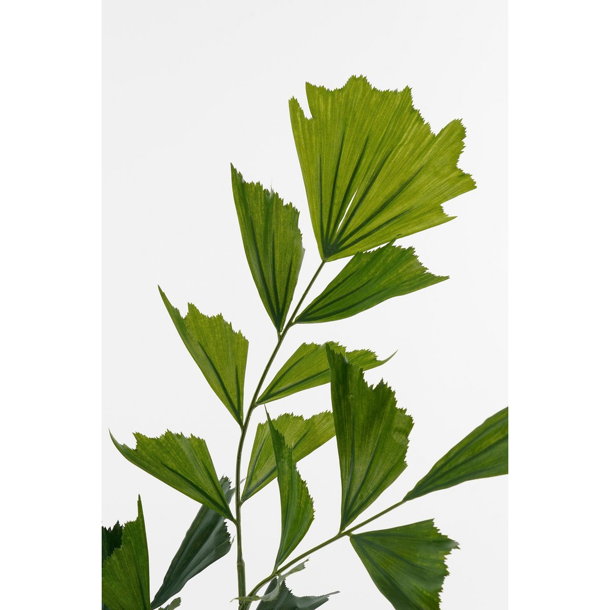 Kunstplant Fishtail Groen