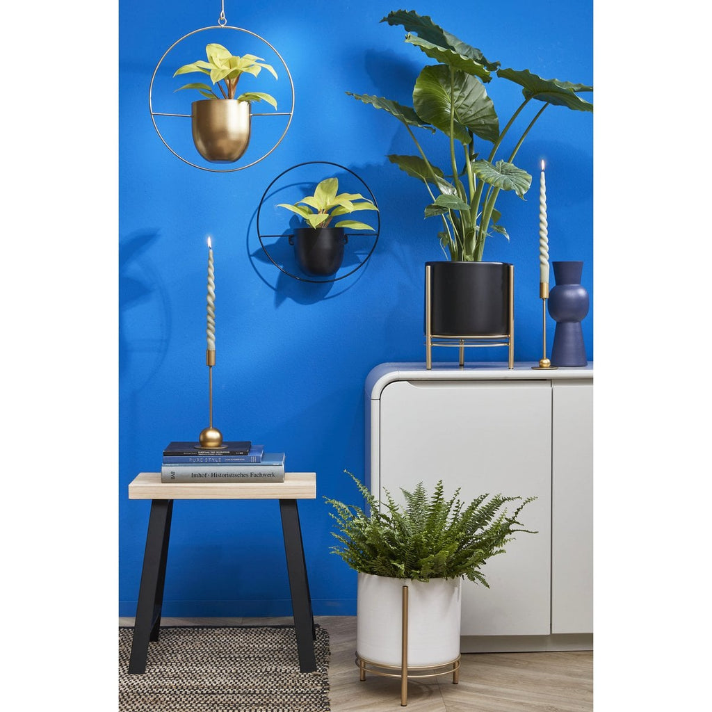 Kruk Plano Lichtbruin