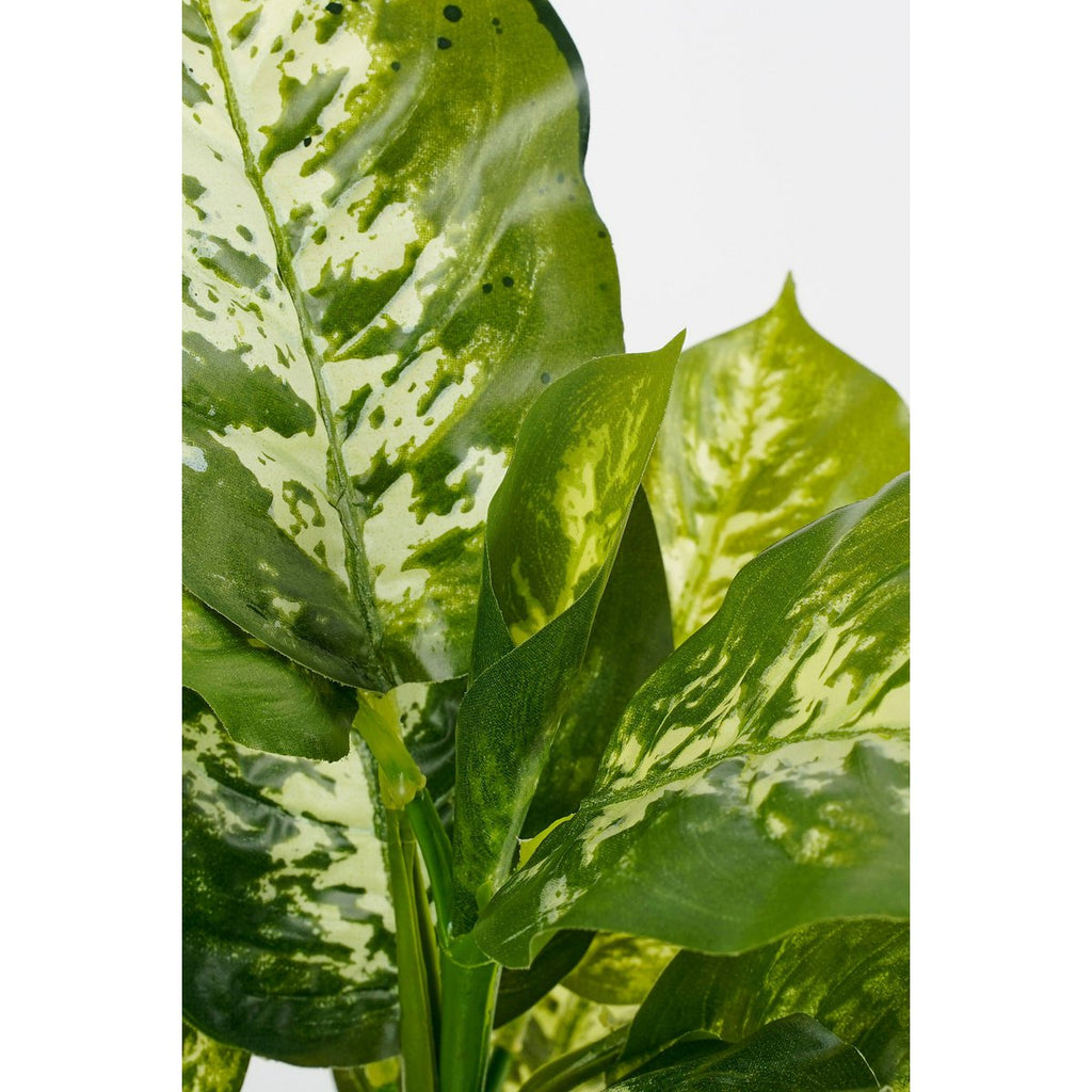 Kunstplant Dieffenbachia Groen