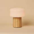 Robin Light Brown Rechargeable Table Lamp | Stylish, Cordless & 3 Light Modes