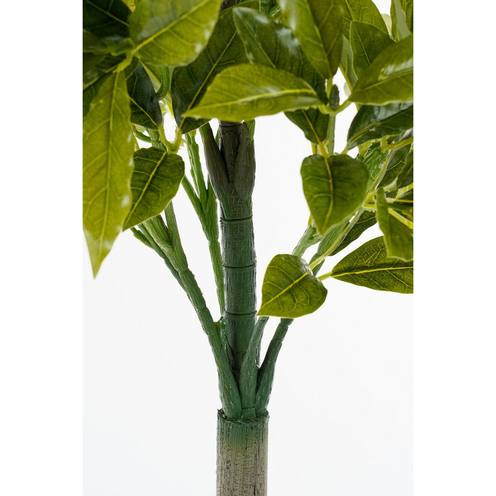 Kunstplant Laurel Groen