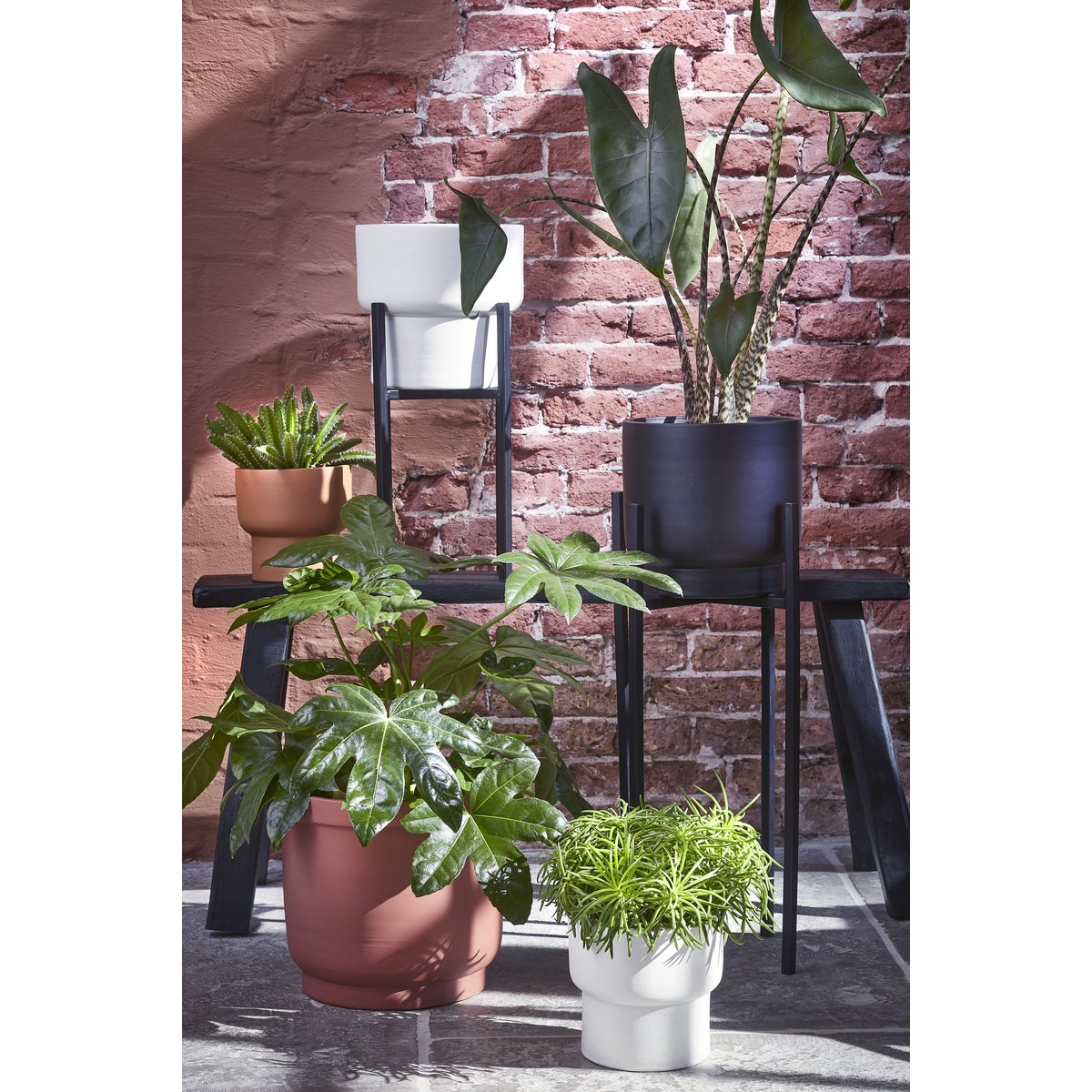 Plantenstandaard Ascot Zwart
