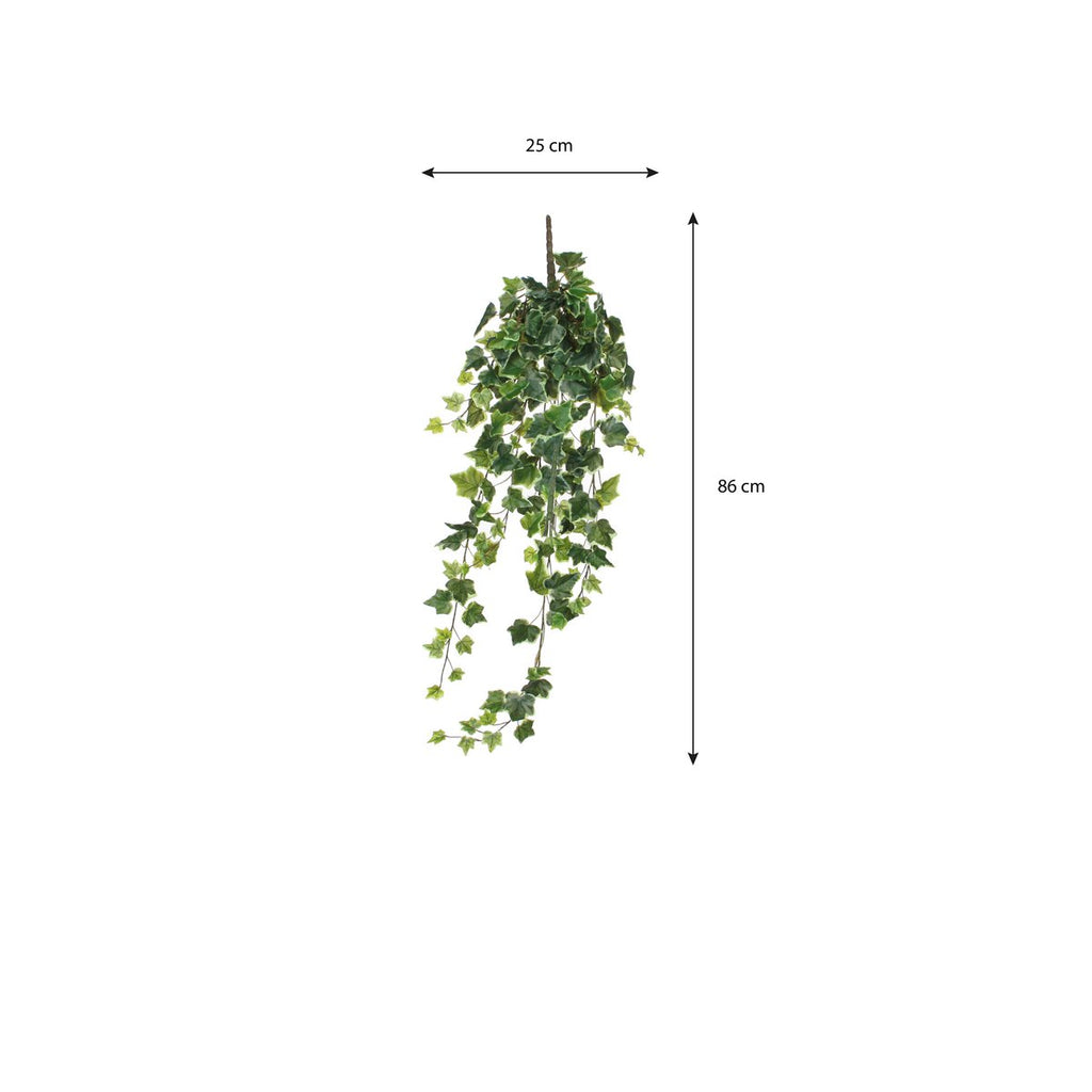 Kunst hangplant Ivy Groen
