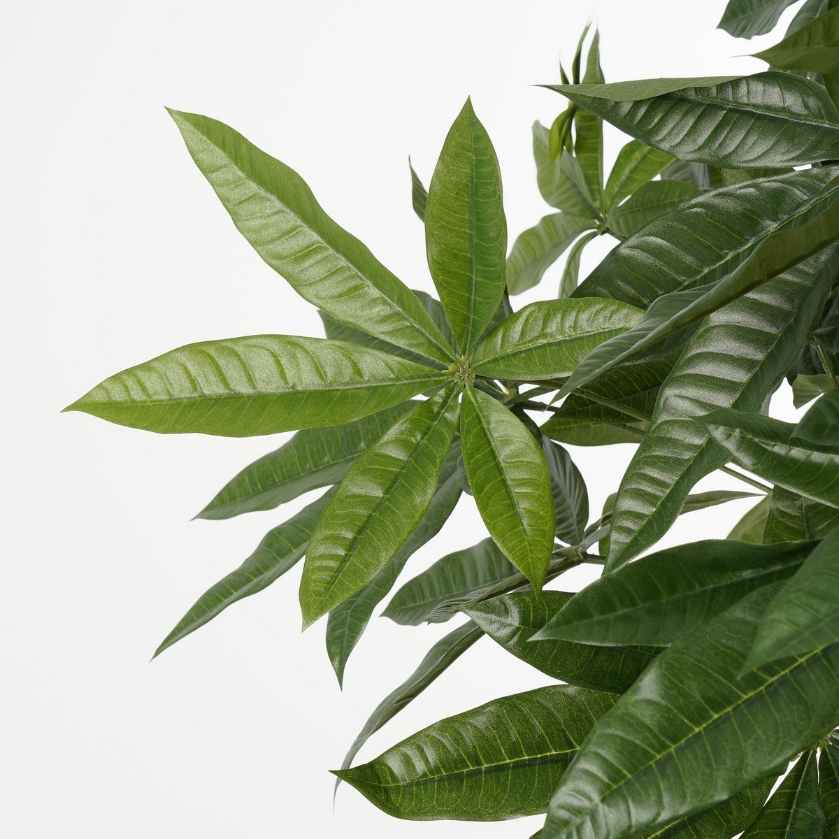 Kunstplant Pachira Groen