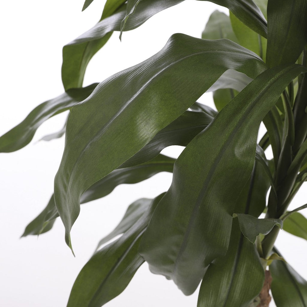 Kunstplant Dracaena Groen