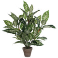 Kunstplant Dieffenbachia Groen