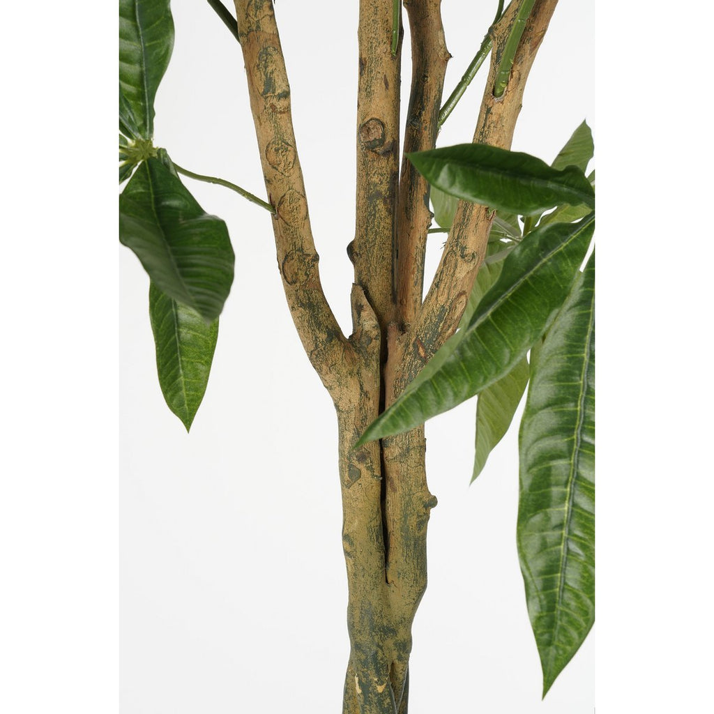 Kunstplant Pachira Groen