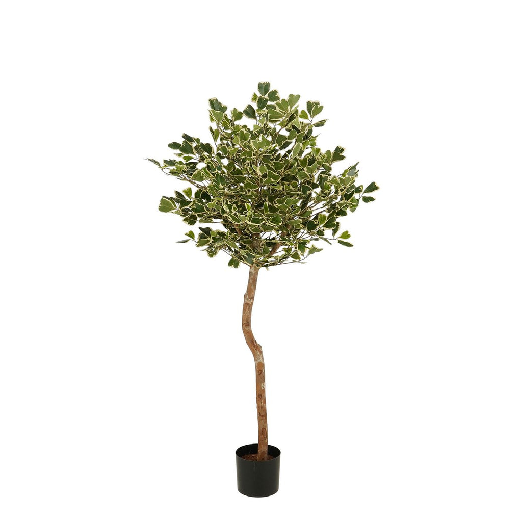 Kunstplant Ficus Groen
