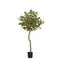 Kunstplant Ficus Groen