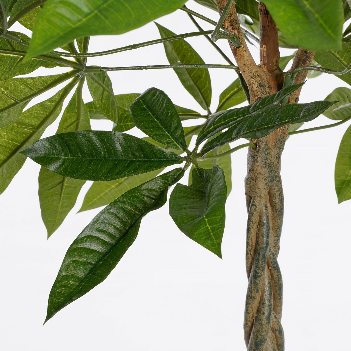 Kunstplant Pachira Groen