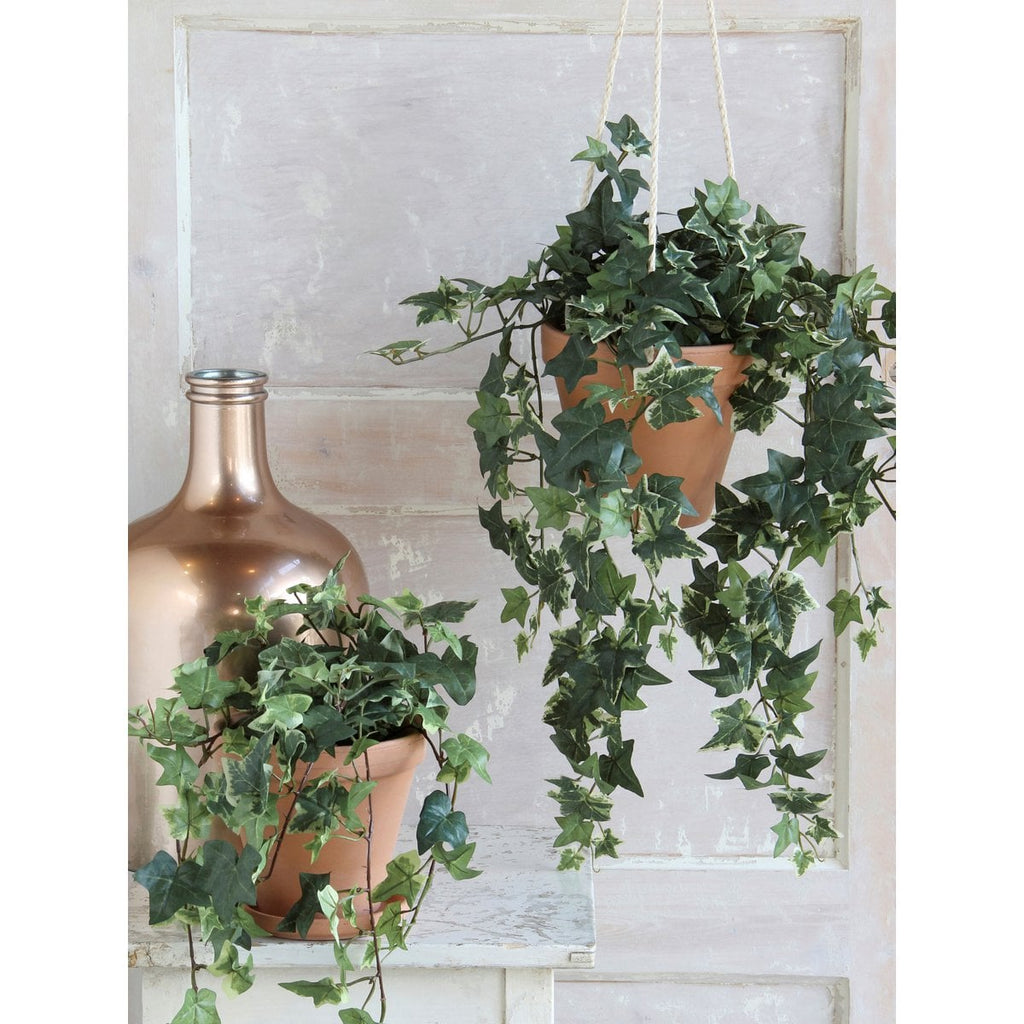 Kunst hangplant Ivy Groen