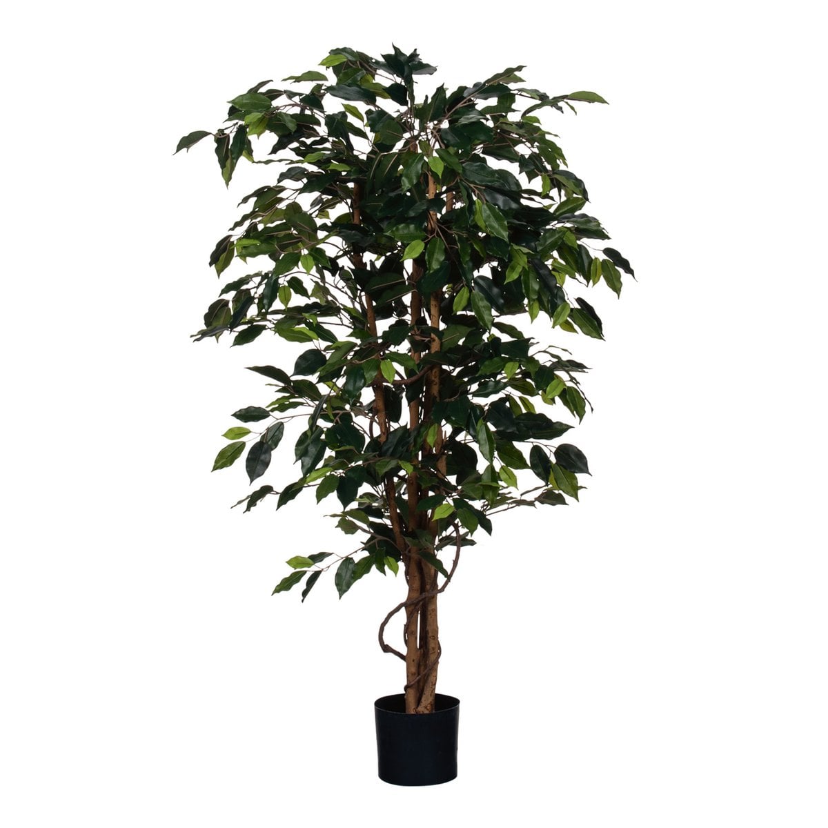 Kunstplant Ficus Groen