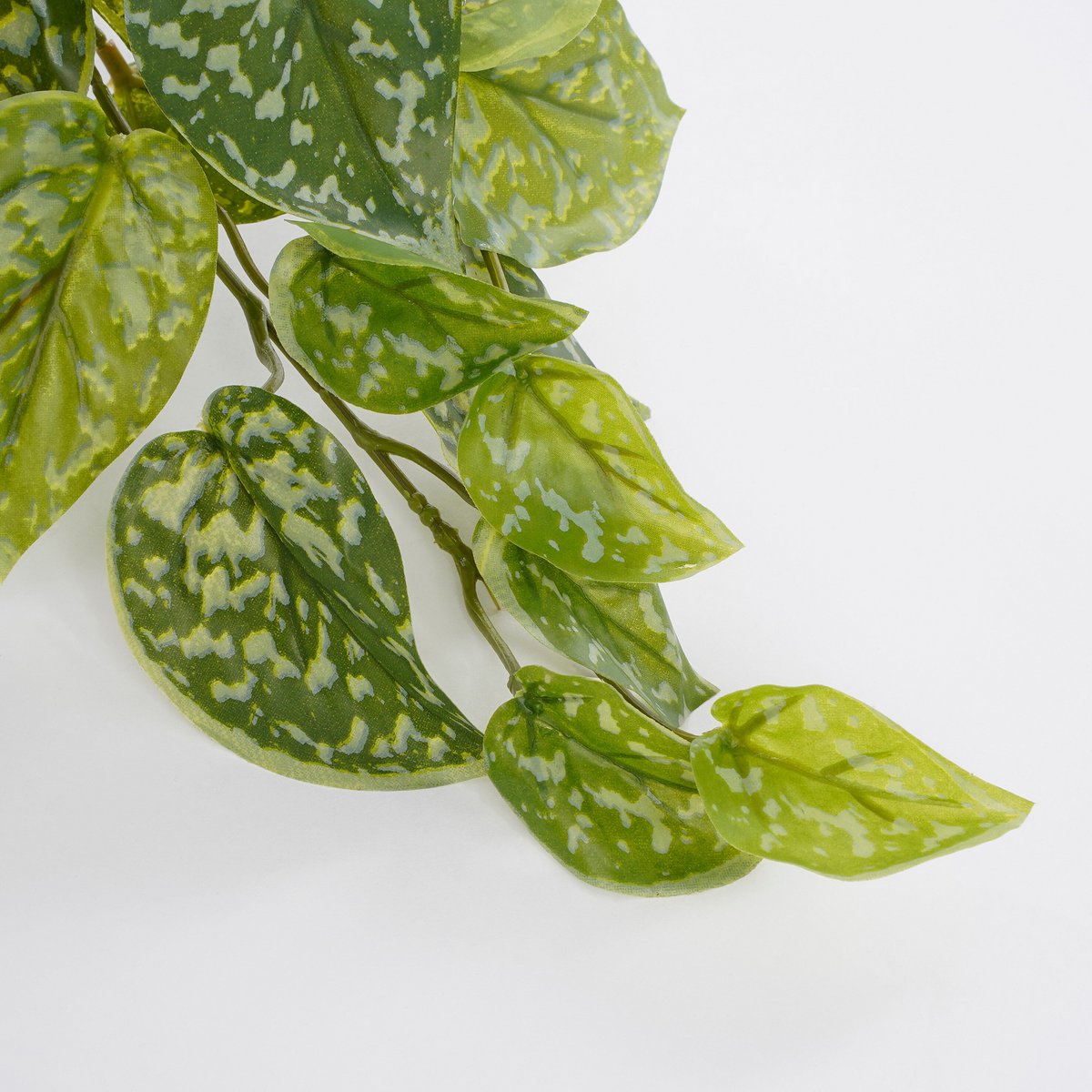 Kunst hangplant Scindapsus Groen