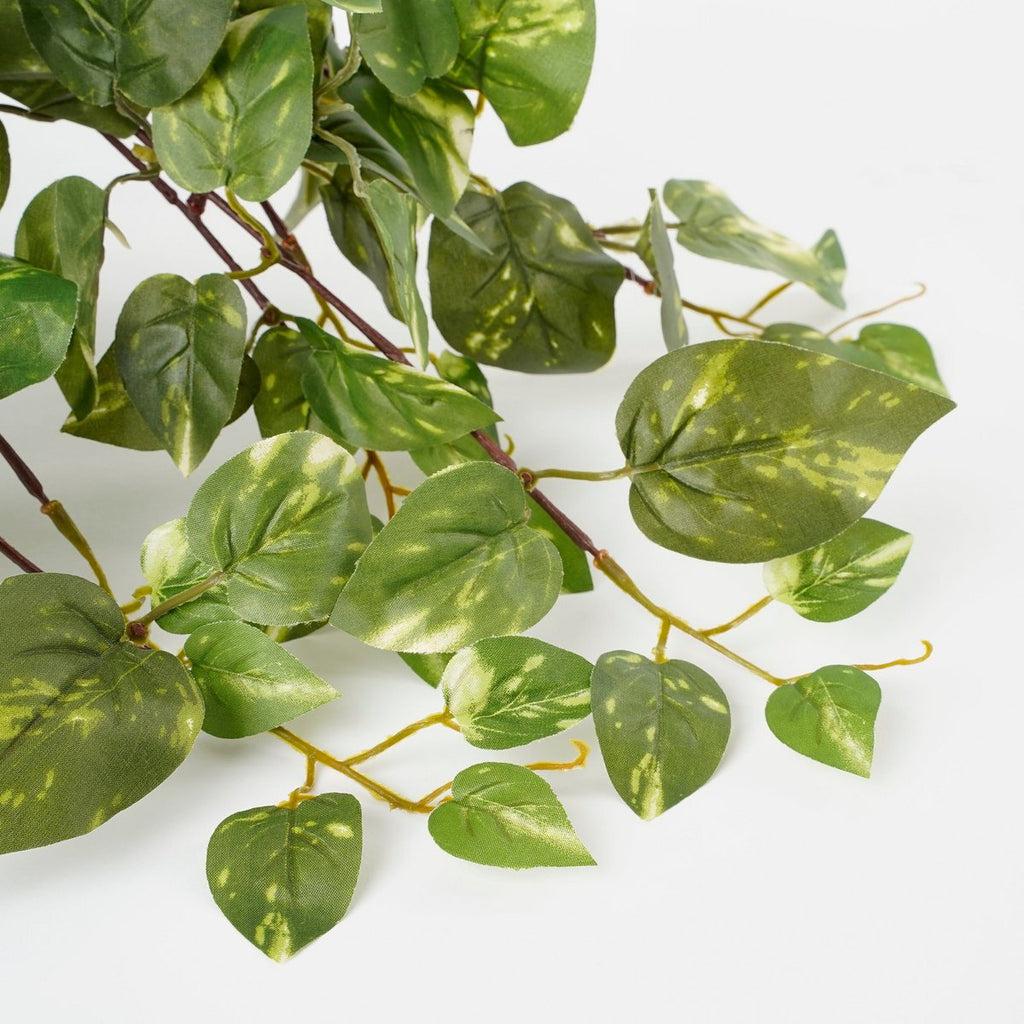 Kunst hangplant Scindapsus hanging Groen