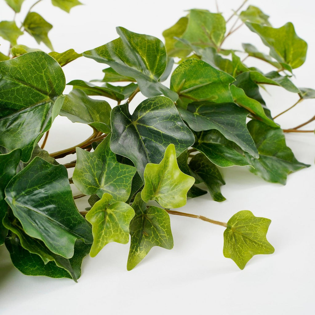 Kunst hangplant Ivy Groen
