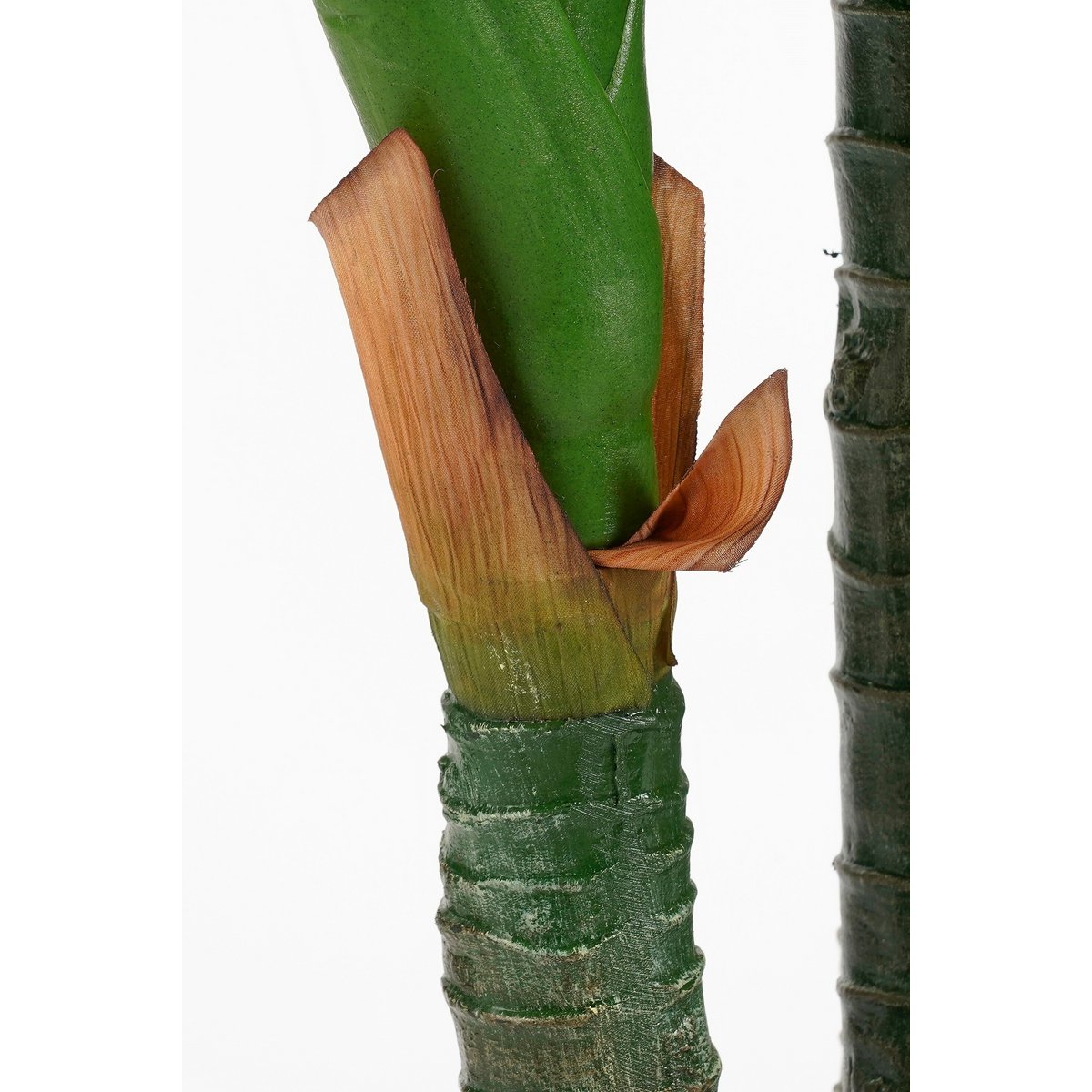 Kunstplant Dieffenbachia Groen