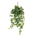 Kunst hangplant Ivy Groen