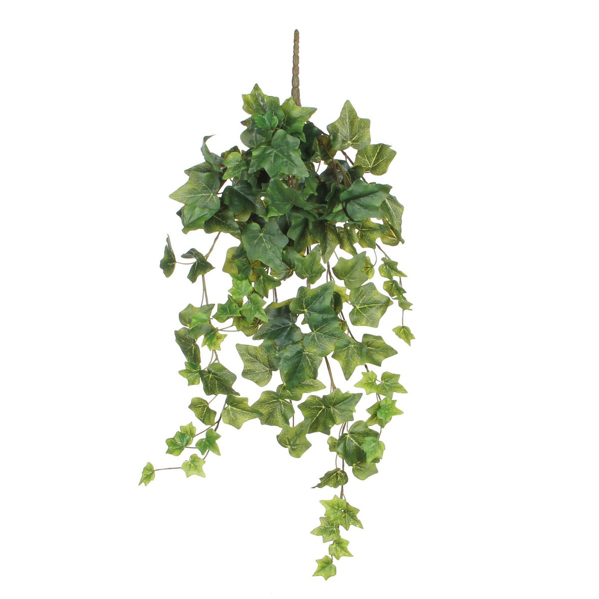 Kunst hangplant Ivy Groen