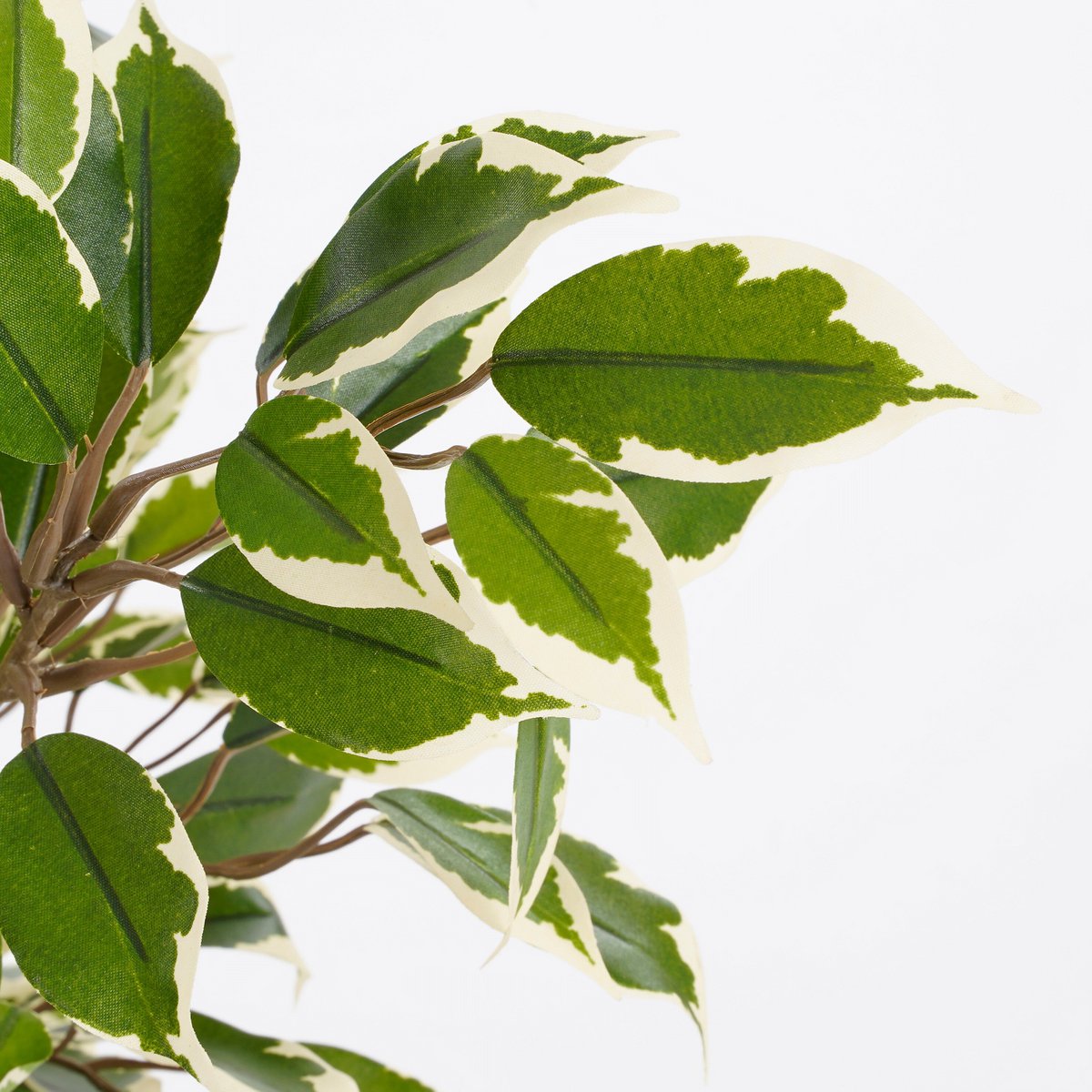 Kunstplant Ficus natasja Groen