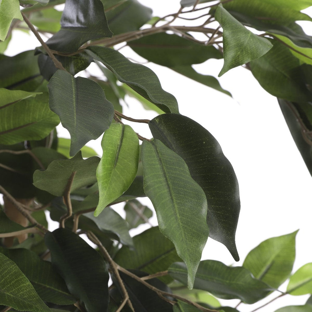 Kunstplant Ficus Groen