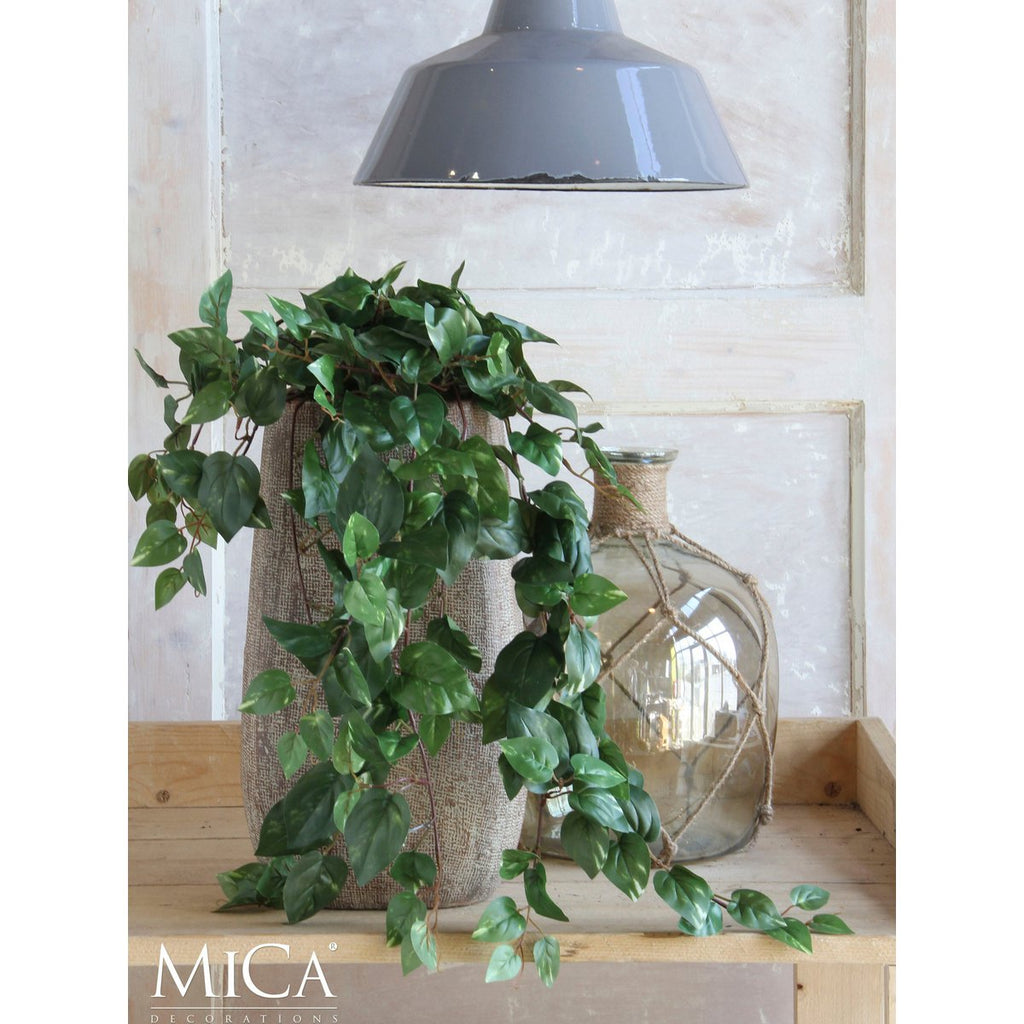 Kunst hangplant Scindapsus hanging Groen