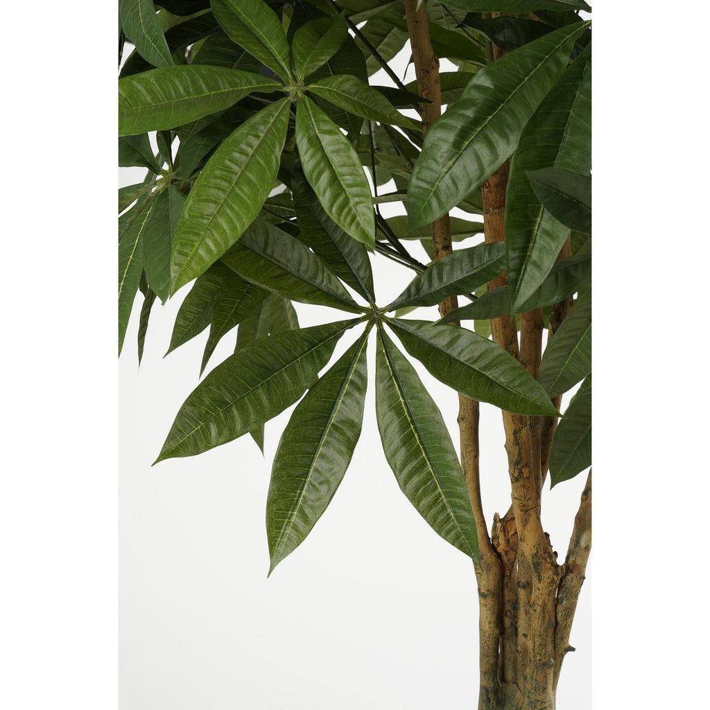 Kunstplant Pachira Groen