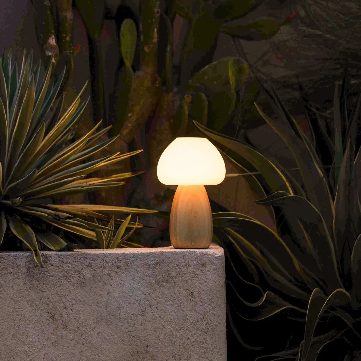Beer Lichtbruin Oplaadbare Lamp | Draadloos, dimbaar en batterijduur tot 100 uur