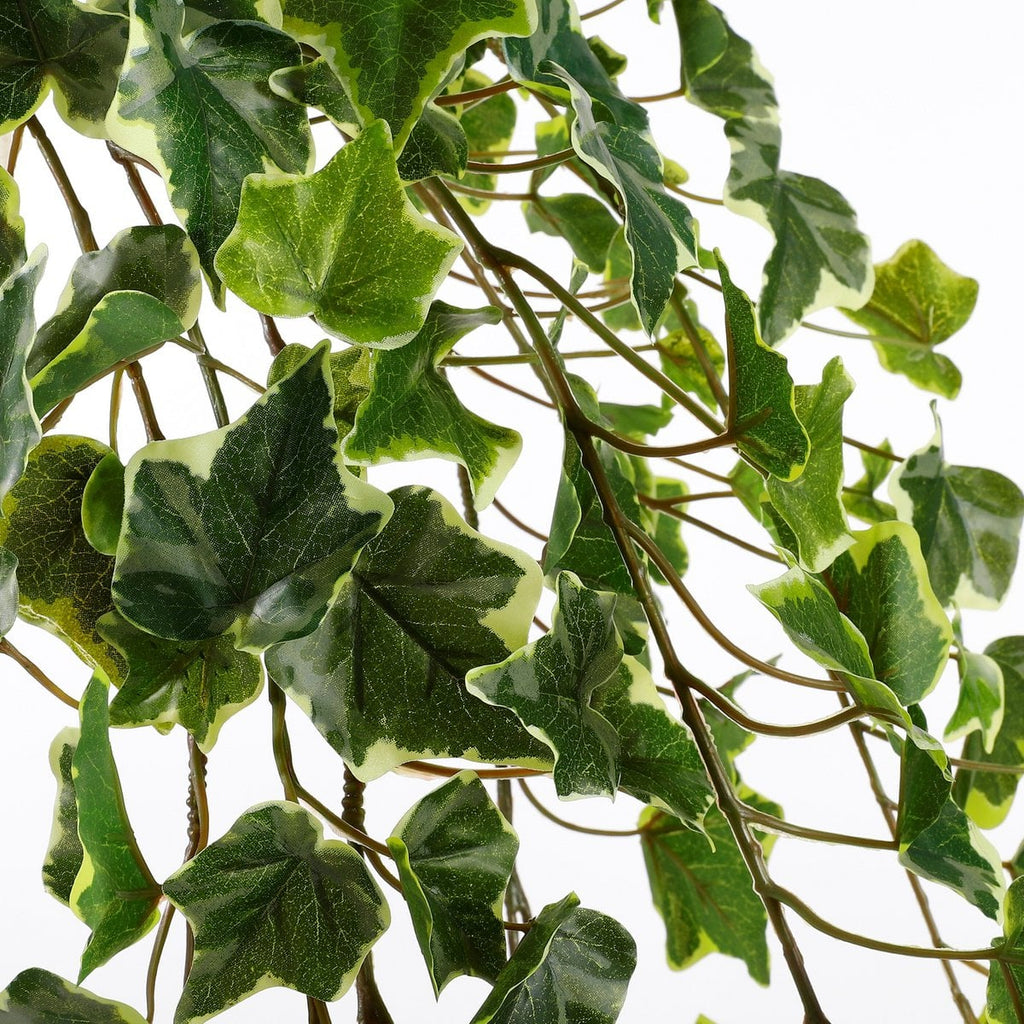 Kunst hangplant Ivy Groen