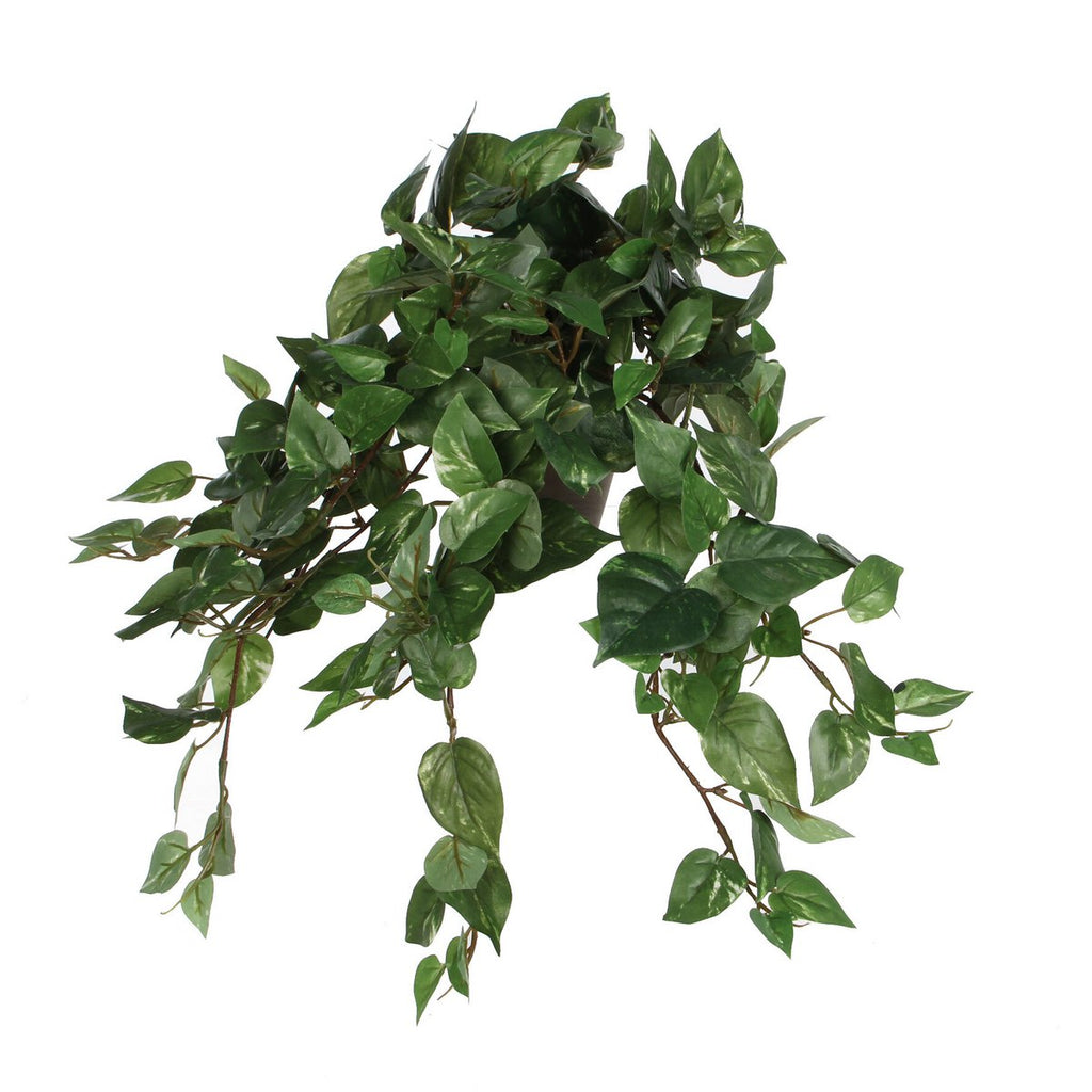 Kunst hangplant Scindapsus hanging Groen