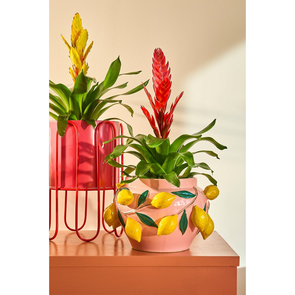 Bloempot binnen Dione Roze