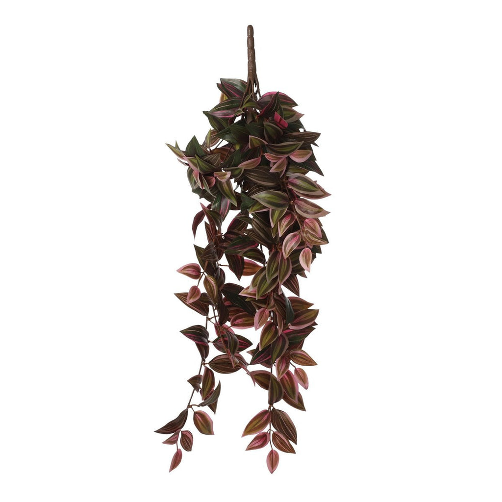 Kunst hangplant Tradescantia Donkerrood