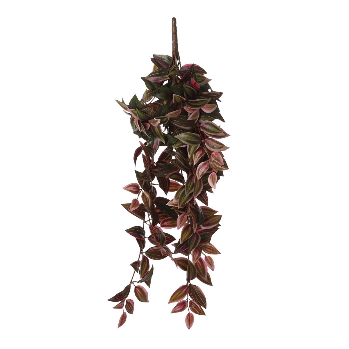 Kunst hangplant Tradescantia Donkerrood