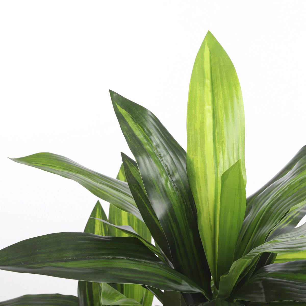 Kunstplant Dracaena Groen