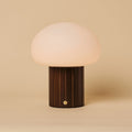 Pieter Dark Brown Rechargeable Table Lamp | Cordless, 3 Light Modes & Glass Lampshade