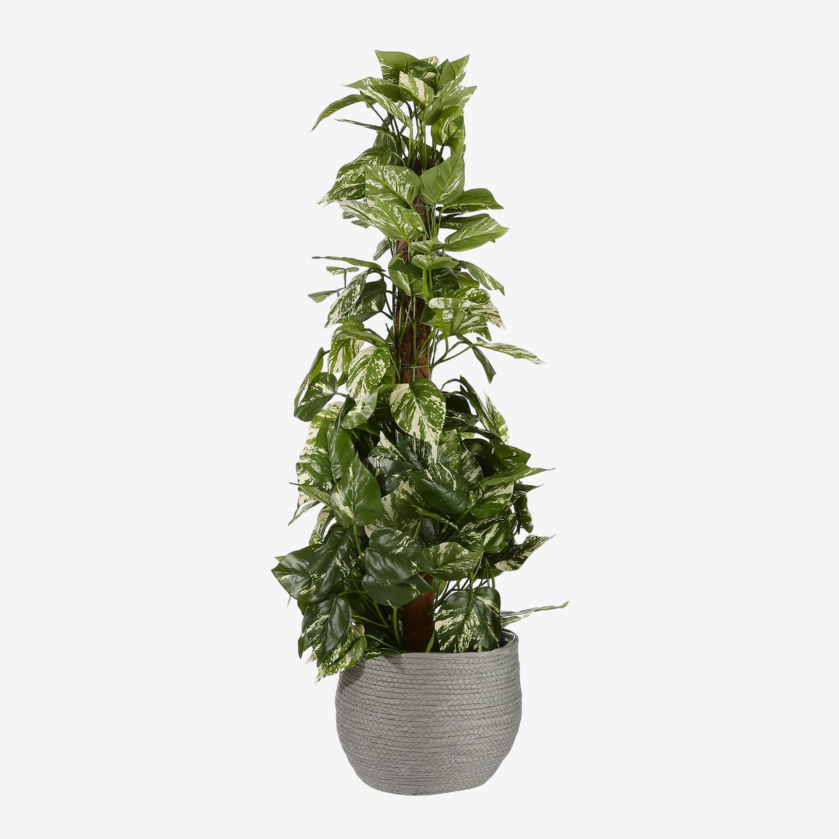 Plantenmand set Jorck Grijs