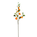 Kunsttak  Oranje