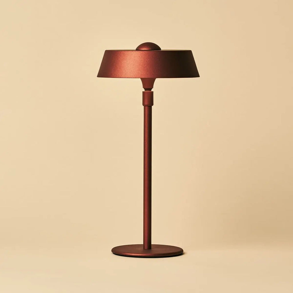 Luca Bronzen USB Oplaadbare Lamp | Minimalistisch, speels & dimbaar