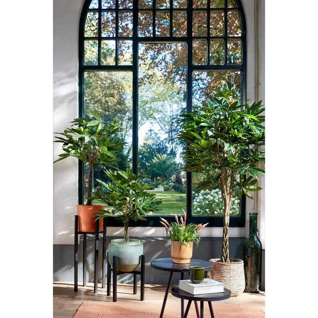 Plantenstandaard Ascot Zwart