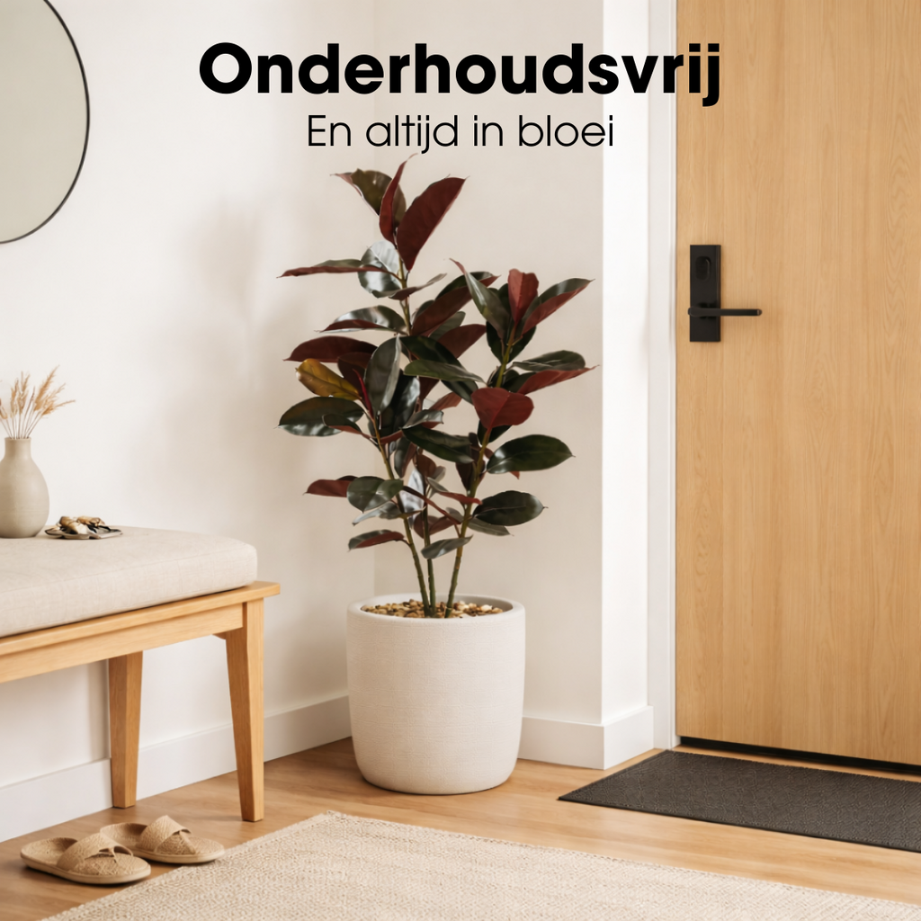 Kunstplant Rubberplant Rood