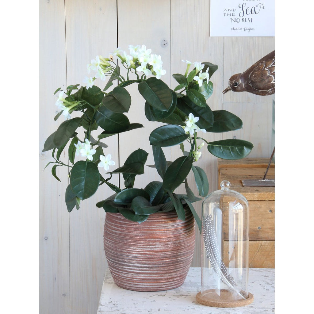 Kunstplant Stephanotis Wit