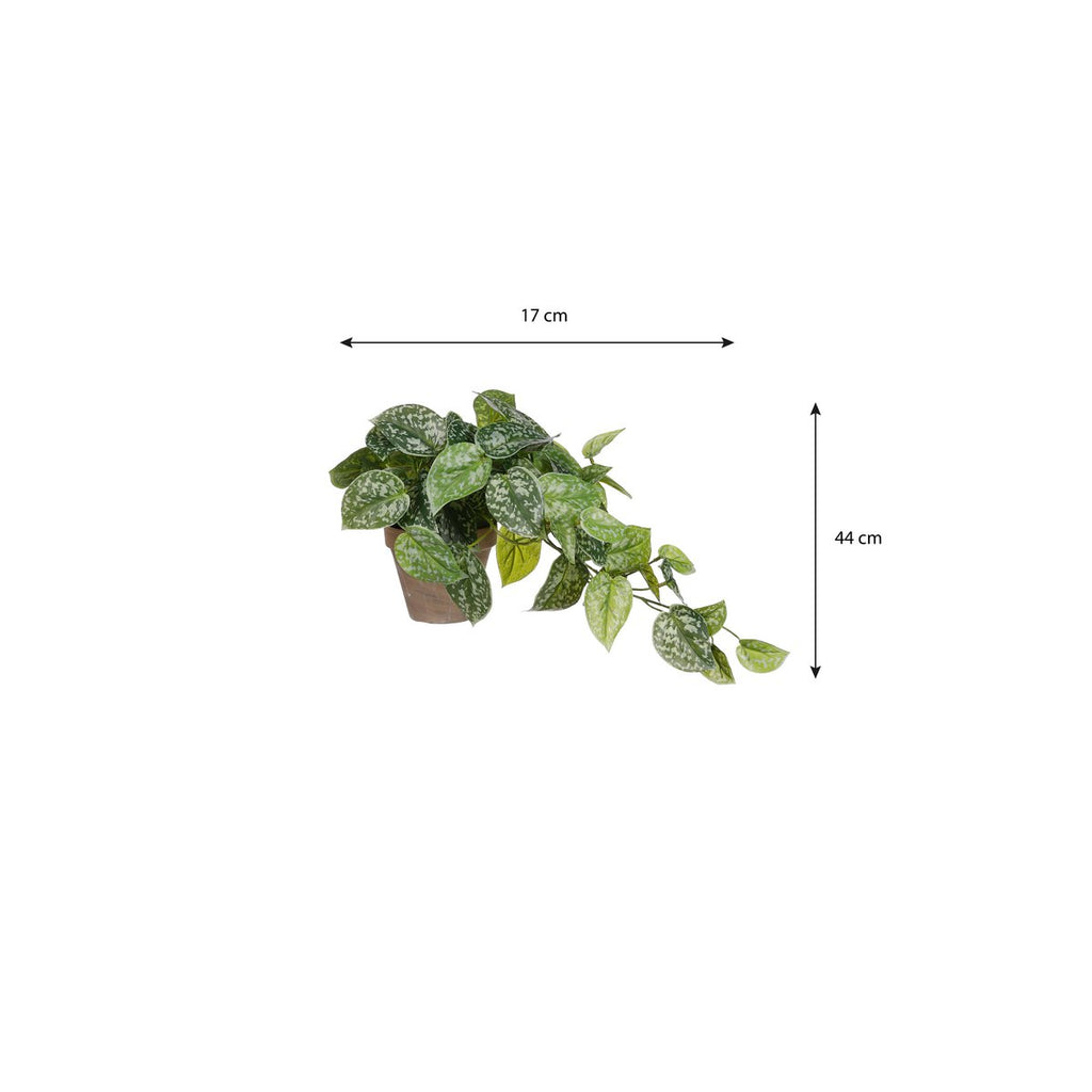 Kunst hangplant Scindapsus Groen
