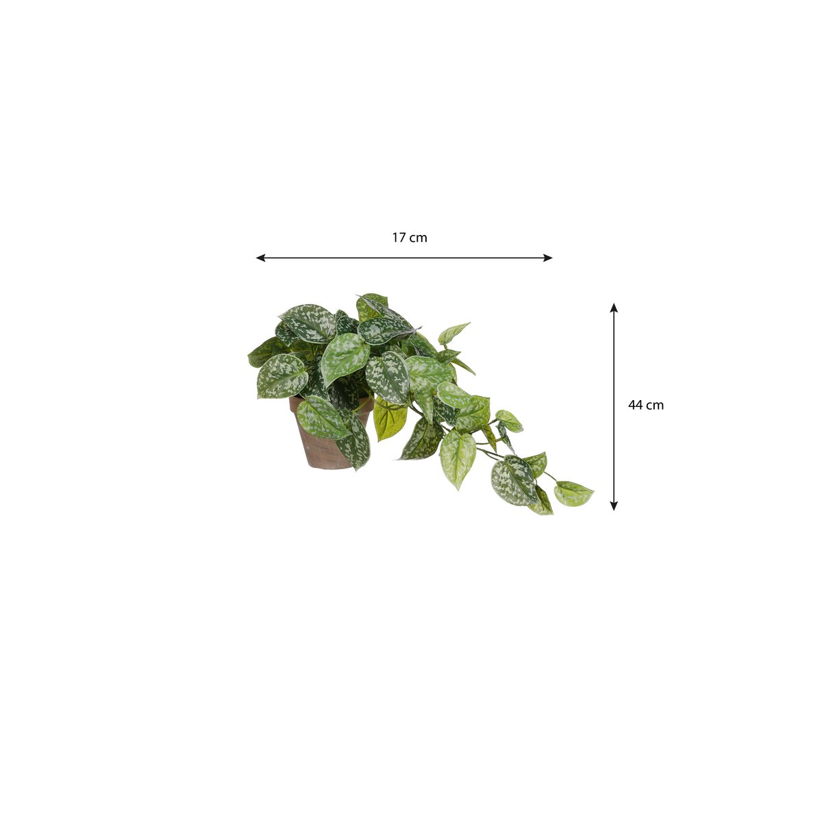 Kunst hangplant Scindapsus Groen