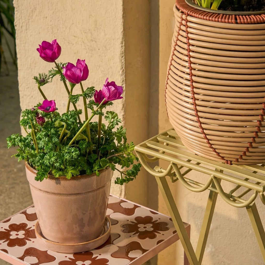 Plantenstandaard buiten Rosalie Lichtgroen