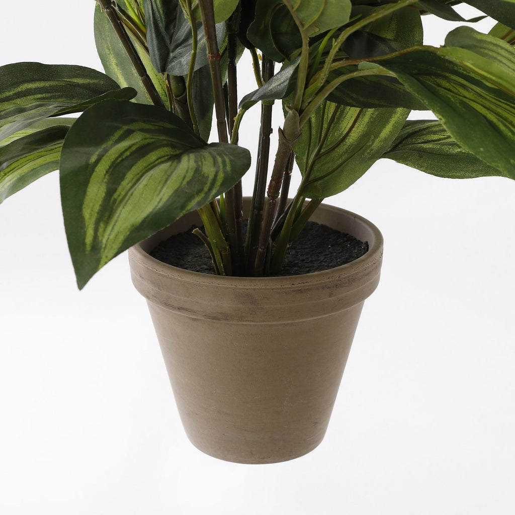 Kunstplant Hosta Groen
