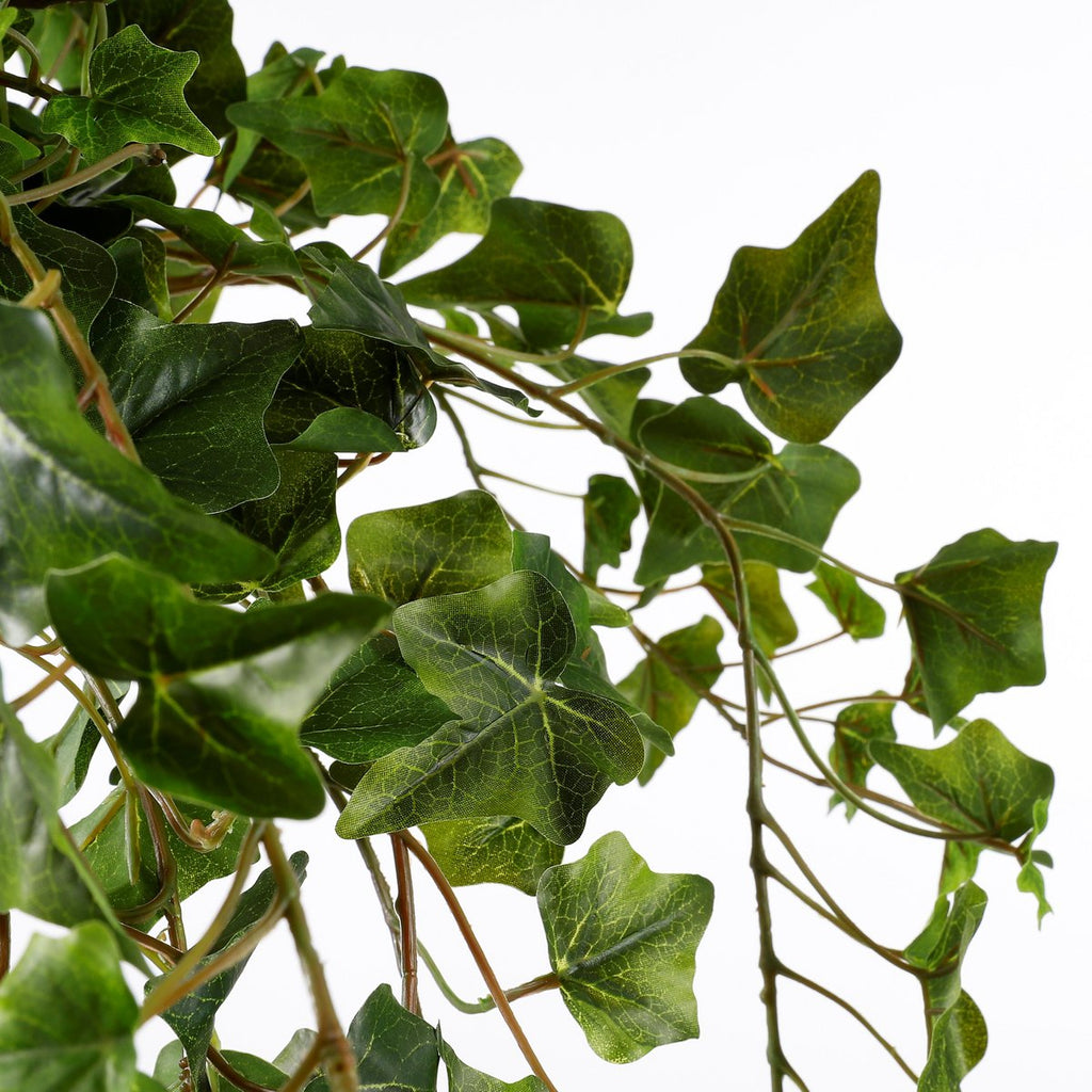 Kunst hangplant Ivy Groen