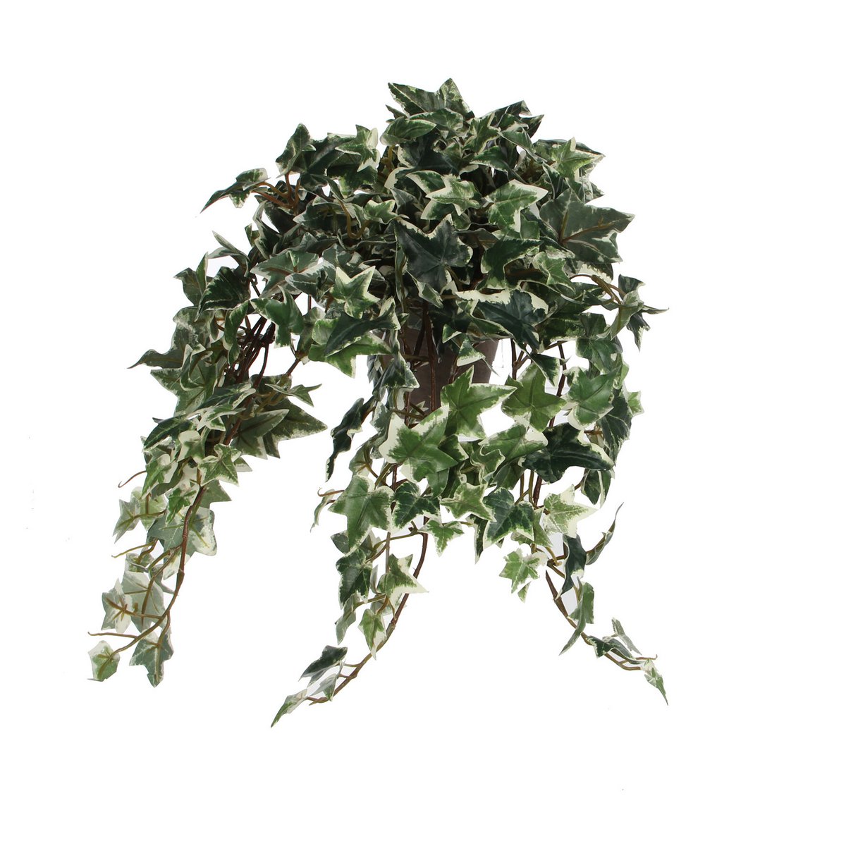 Kunst hangplant Ivy Groen