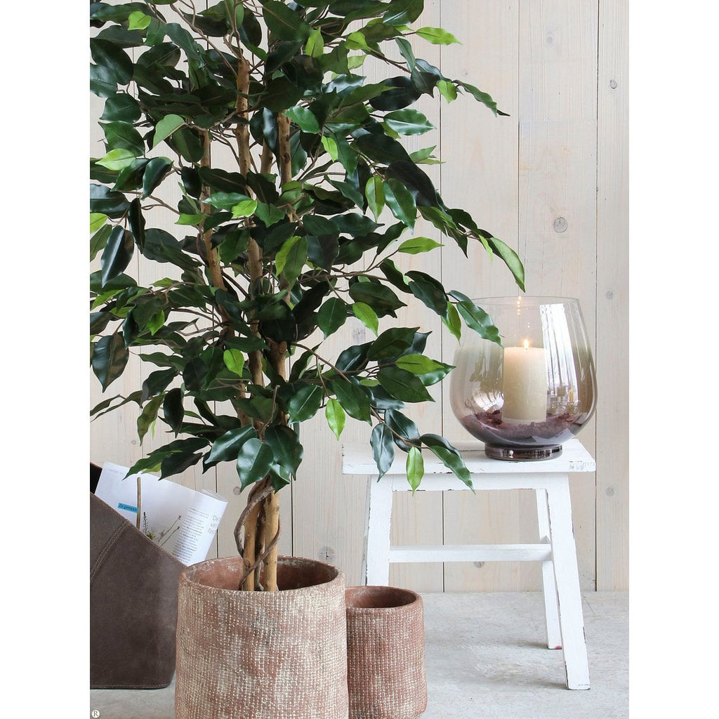 Kunstplant Ficus Groen