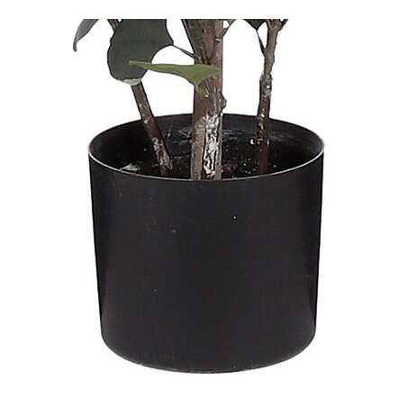 Kunstplant  Groen