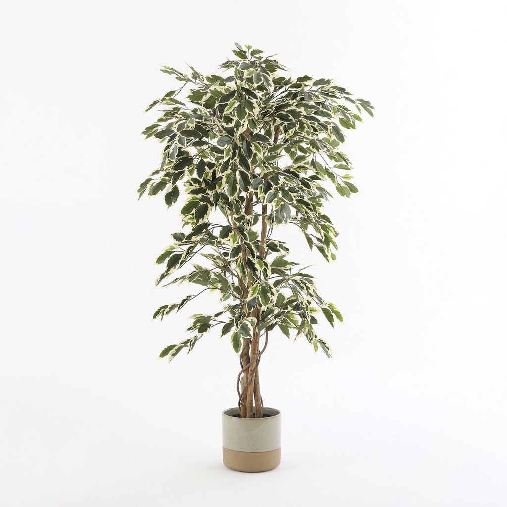 Kunstplant Ficus Groen